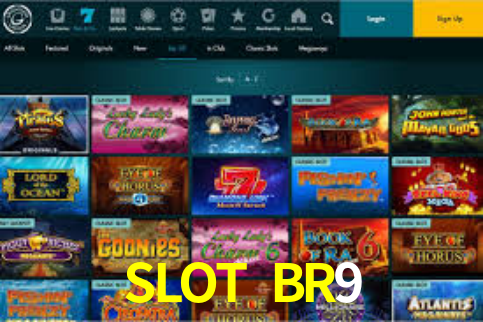 SLOTBR9