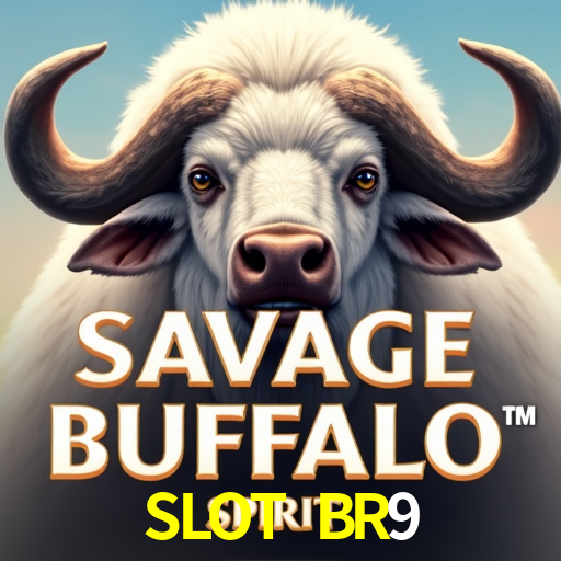 SLOTBR9